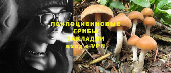 ПСИЛОЦИБИНОВЫЕ ГРИБЫ Нягань