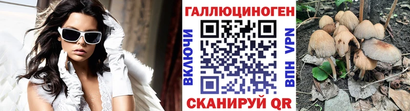 Псилоцибиновые грибы мухоморы  MEGA ссылка  Дальнереченск 